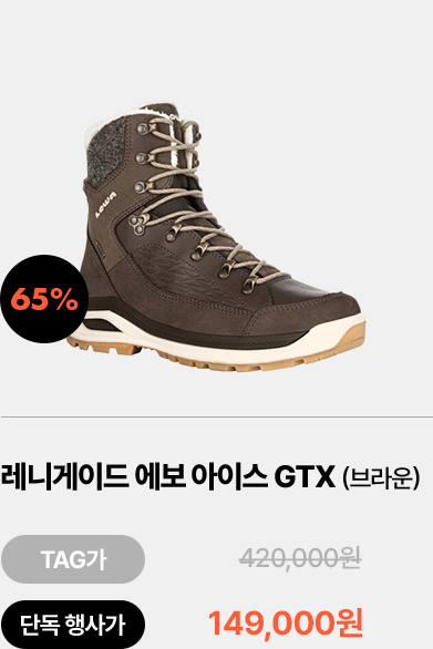 레니게이드 에보 아이스 GTX (브라운)