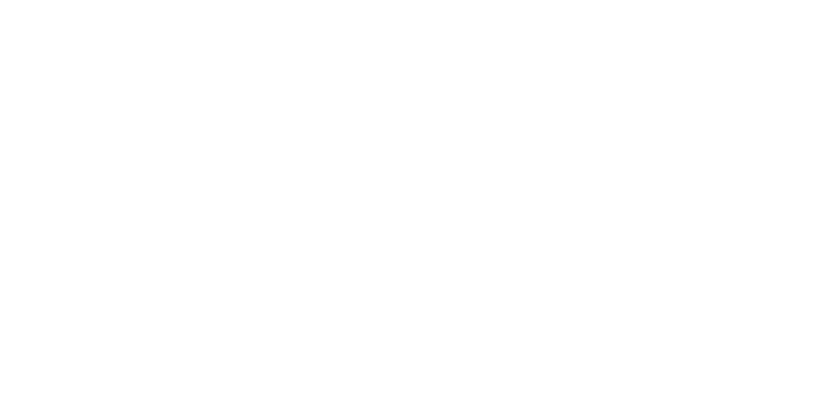 FESTA